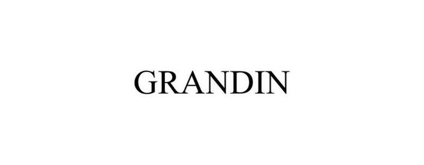 Telecommande TV Grandin : telecommande Grandin universelle